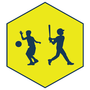 Batting Practice or Ball Boy/Girl for Basketball, Soccer, Baseball or Softball